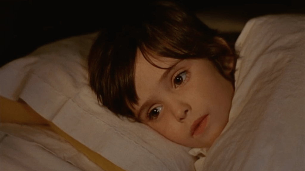 The Spirit of the Beehive movie